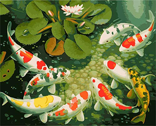 Awesocrafts Malen nach Zahlen-Set, Koi-Karpfen, Lotus, Teichnummern, Gemälde für Erwachsene und Kinder, 40,6 x 50,8 cm, gerahmt oder nicht (Karpfen, gerahmt)