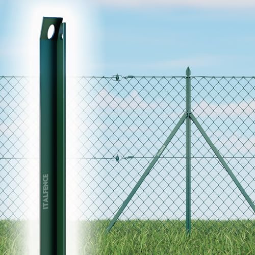 L-Profil Zaunstreben 10er-Set grün pulverbeschichtet aus Stahl [H170cm]