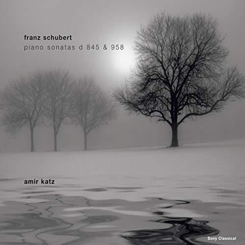 Music for You: Klaviersonaten D 845 & D 958