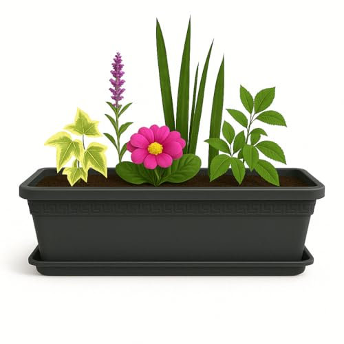 TECHZOCO Jardinera de plástico con Plato, Macetero Jardín, Incluye Plato, Fabricado en Polipropileno, Apto balcón, Patio, Interior/Exterior, 60 cm Largo x 16.5 cm Alto x 18 cm Fondo, Antracita
