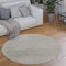 Paco Home Waschbarer Teppich Rund Wohnzimmer Kurzflor rutschfest Modern Flauschig Einfarbiges Muster, Grösse:160 cm Rund, Farbe:Silber
