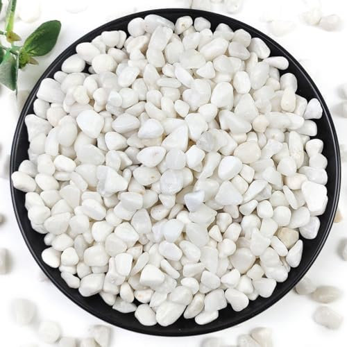 YISZM Piedras pulidas decorativas naturales para suculentas y cactus, 2 libras, piedras pulidas decorativas naturales de 3/8 pulgadas, rocas de río para plantas, jarrones, acuarios, terrario y