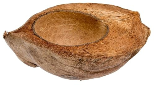 NaDeco Kokosnussschale Natur 15–20 cm | Halbiert im Längsschnitt | Deko Kokosschale für Pflanzen, Terrarium, Tischdeko & Sommerparty | Handgefertigte Schale aus echter Kokosnuss | Nachhaltig