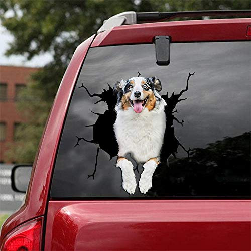 Ocean Gift Australian Shepherd Auto Abziehbilder, Hund Auto Aufkleber 2 Stück - Realistische Australian Shepherd Aufkleber für Autofenster, Wände Serie 42 Größe 30,5 cm x 30,5 cm