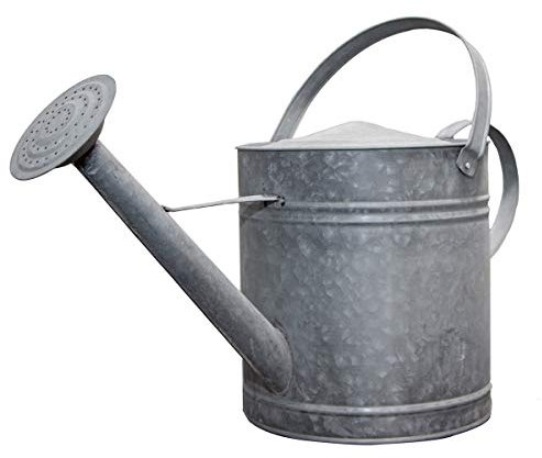Antikas - Regadera de zinc, XL, color gris plateado, jarra decorativa, bancal de flores.