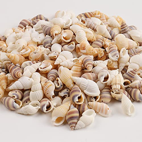HERZWILD muscheln bastelnmuscheln mit löcher Ideal zum Basteln, für Deko oder zum Schmuckherstellung (18-21mm)