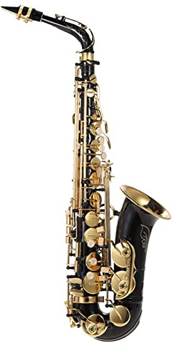 YIWENG Eb-Altsaxophon,Messing,lackiertes Gold,E-Saxophon,Tonart 82Z,Holzblasinstrument,mit Reinigungsbürste,Tuch,Handschuhe,Riemen,gepolstertes Etui,bE Altsaxphon