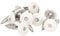 100x MEISTERLING® Fassadenschrauben INOX V4A 5,5 x 55 mm – Flachkopf Torx T20 + 1 Bit – Weiß