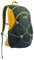 Coleman Rucksack Glacier Basin, Gold, 24 x 14 x 45 cm, 15 Liter, 2000021014