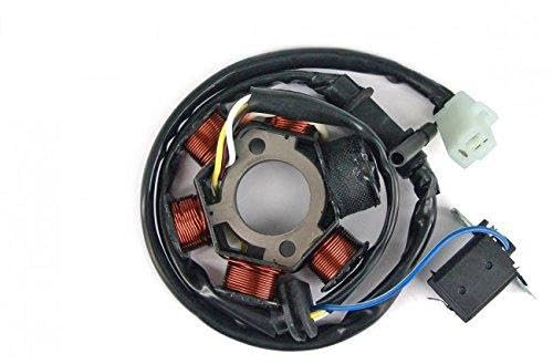 Lichtmaschine (Zündung) TNT, inkl. Stator, Grundplatte für Peugeot Stehend (ohne Wegfahrsperre)