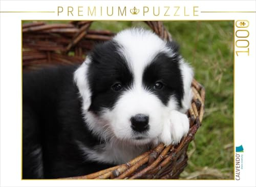 CALVENDO Puzzle Border Collie Welpe | 1000 Teile Lege-Größe 64 x 48 cm Foto-Puzzle für glückliche Stunden