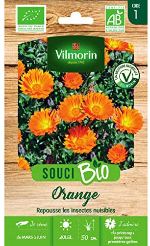 Vilmorin Sachet graines Souci Orange Bio - Calendula officinalis