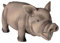 Trixie Pig Original Animal Sound, 23 cm, Latex , Assorted Farbe