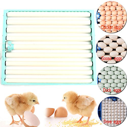 MASUNN Inkubator, 220 V, für Hühner, Geflügel, Brutkasten