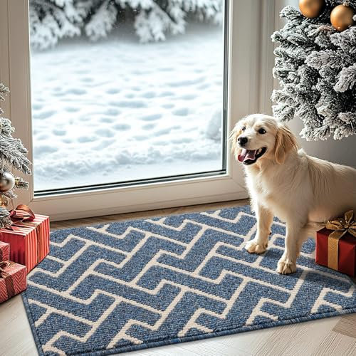 Biscpro Paillasson Intérieur Tapis 50x80cm Entrée Intérieur Extérieur Imperméable,Antidérapant,Absorbant,Tapis pour Entrée,Lavable,Cuisine,Salle de Bain-Bleu