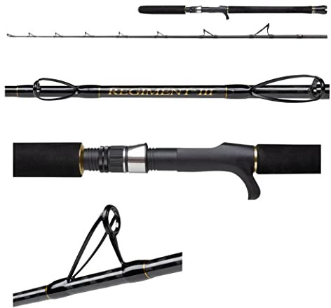 Penn Angelrute Regiment Iii Jig Casting Jigging Vertical Meer Kunstköder