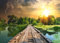 Ravensburger Puzzle 12000305 - Mystisches Licht - 1000 Teile Puzzle für Erwachsene und Kinder ab 14 Jahren, Natur-Aufnahme zum Puzzeln