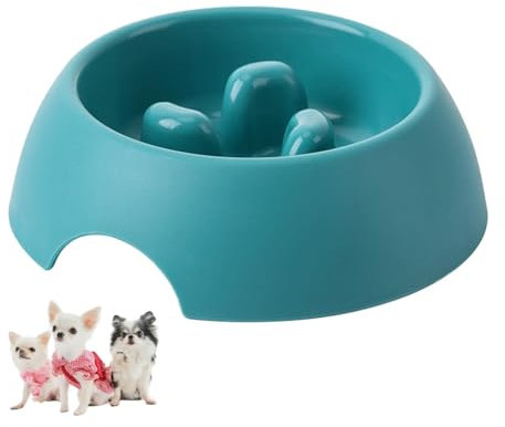 Antischlingnapf für Kleine Hunde, Anti Schling Napf Hund/Katze,Hundenapf, Katzennapf, Katzen/Katzenfutter Napf(Grün)