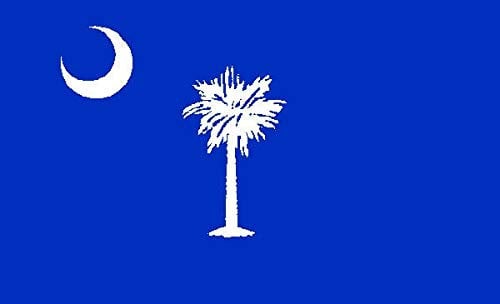flaggenmeer® Flagge South Carolina 80 g/m² ca. 90 x 150 cm