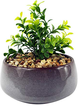 Leaf Pianta da scrivania in ceramica blu per ufficio, Crassula artificiale, 16 cm