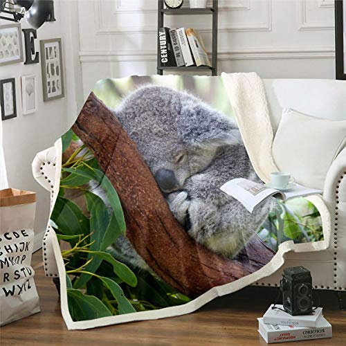 Loussiesd Koala Kuscheldecke Niedliches Tier Muster Wohndecke für Jungen M?dchen Karikatur Koala Gedrucktes Decke 220x240cm ?ste Dekor Weich Flanell Fleecedecke…
