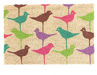 Coco & Coir Door Mats Indoor/Outdoor | Non Slip Bold Bird Design Entrance Welcome Mat (Birdie 40cm x 60cm)