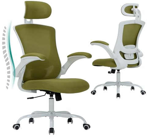 COLAMY Bürostuhl Ergonomisch, Netz-Schreibtischstuhl mit Verstellbarer Kopfstütze, Chefsessel Office Chair mit Lendenwirbelstütze, Verstellbarer Neigungsverschluss Drehstuhl, Grün