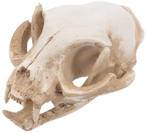 BESTOYARD Resin Animal Skeleton Fortune Cat Skeleton Model Cat Skull Figurine Aquarium Fish Tank Landscape Halloween Party Decoration