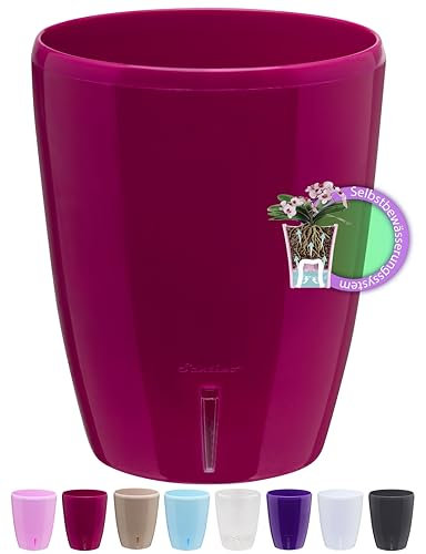 Santino Maceta para Orquídeas Ø 12cm Maceta Autorriego con Sistema de Mecha e Indicador de Nivel de Agua para Interior (Ø 12cm - 1,3L - Morado)