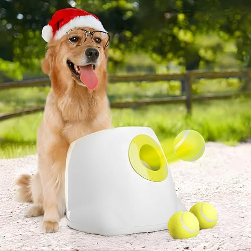 ALL FOR PAWS Automatischer Ballwerfer, mit 3pcs Tennisbälle (2.5'') Hunde Ball Interaktive Ballwurfmaschine 6 2.5 Tennisbällen Inklusive