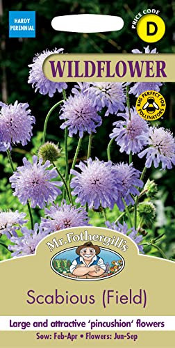 Mr Fothergill’s Seeds Ltd Scabious (Field) Wild Flower Seeds, Violet