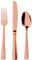 SPSS Mariage Boite ménagère 30 Couverts Plastique Rose Gold