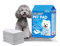 Nobleza 50x Tappetini assorbenti per cani con carbone attivo, Cane Tappetino Igienici per Animali Domestici, Cuccioli Tappetini da Addestramento, Ultra Assorbente Anti Odore, 50 pz 60x60cm