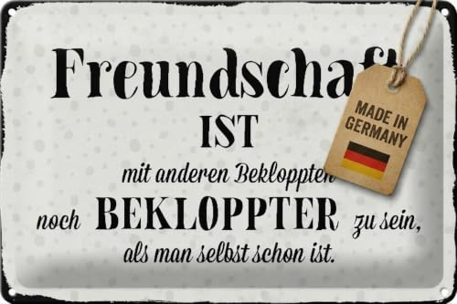 Metall Schild 20x30cm Freundschaft ist Spruch Sprüche Blechschild
