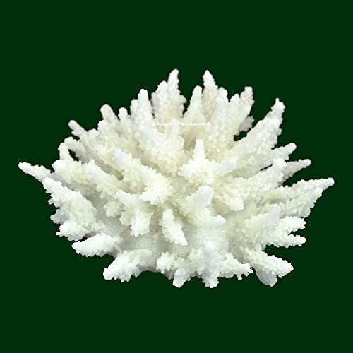 Steinkoralle, 13 x 13 x 8 cm, SPS, Acropora, Salz Aquarium Korallen Nachbildung