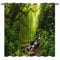 YUANZU Natur Vorhänge Wald Grünes Dschungel Wasserfall Ösen Gardinen mit Blickdichte Thermo Vorhang Kälteschutz Blackout Curtain Wohnzimmer Schlafzimmer Verdunkelung Fenster, 2 Stück, H 260 x B 140 cm