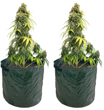 LB H&F 2er Set Pflanzen Tasche Growtasche mit Griffen 40l für Hanf & Cannabispflanzen Pflanzsack Robust/Wiederverwendbar (2er Set)