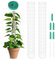 OFFCUP Palo di Muschio,2Pcs Sostegno Piante Rampicanti, Aste di Muschio con 1Pcs Piante e 5Pcs Etichette, Moss Pole Muschio, Bastoncini per Piante impilabili in plastica (Bianco)
