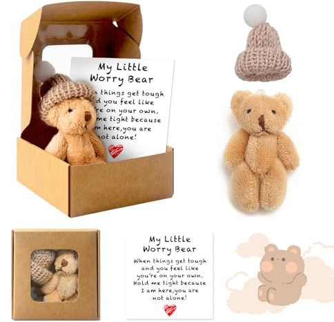 Pocket Hug Positive Teddybär,Mini Puppe Stofftiere Bär In Einer Box | Kleine Geschenke für Frauen Teddy Bear mit Inspirierender Karte Plüsch Figuren für Kollegen Freundi Weihnachtsfeie Geburtstag