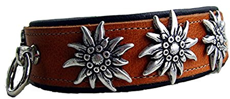 Hunde Halsband Leder Halsband 2 Farbig hell-braun-schwarz 4 cm breit für Halsumfang 46-48 cm Edelweiß