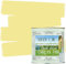 Shabby Chic Chalk Based Garden Paint 100ml (Petal Yellow)
