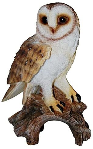 Barn Owl Real Life Ornament by Vivid Arts