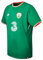 New Balance Herren Offical FAI Merchandise Ireland Home 2017/2018 Kurzärmeliges Jersey, Jolly Green, L