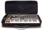 Analog Cases PULSE Case für Korg MicroKorg/MicroKorg XL+ oder vergleichbare Synthesizer (Transporttasche aus langlebigem, geformtem EVA/Nylon, erstklassiger Griff), Schwarz, NA