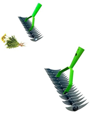 Aérateur de pelouse scarificateur avec poignée, aérateur de pelouse, outil d'aération manuel efficace pour l'entretien et l'entretien de la pelouse, outil de jardinage pour enlever la mousse (tête)