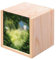 Fabulous Holzkiste – Herz aus Buchsbaum, Kunst, Liebe, Natur (10 x 10 x 10 cm)