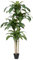 Verinatural Plantas Artificiales Decorativas 180 CM- Dracaena Artificial Grande con Hojas Verdes, UV Resistente Planta Artificial Realista y Durable - Oficina Hogar Salón Terraza para Decorativas