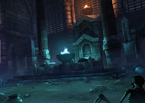 Displate Elder Scrolls Metallposter Elder Scrolls Skyrim Poster Elder Scrolls Bild Skyrim Leinwand Skyrim Poster The Elder Scrolls Online Screenshots - Necromancer Poster 67,5x48cm