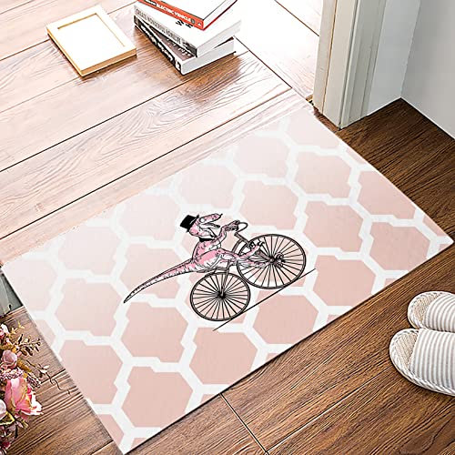 Door Mat for Front Door Dinosaur with Moroccan Texture Blush Pink Gradient Kitchen Rug Non-Slip Entry Way Doormat,Floor Mat for Bathroom/Bedroom/Living Room 16x24in