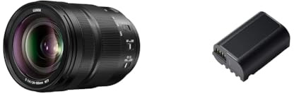 Panasonic S-R24105E LUMIX S Standardzoom Objektiv & DMW-BLK22E Aufladbarer Lithium Ion Akku, 7.2V, 2.200 mAh (für LUMIX Digitalkamera: DC-S5, G9, GH5, GH5S)